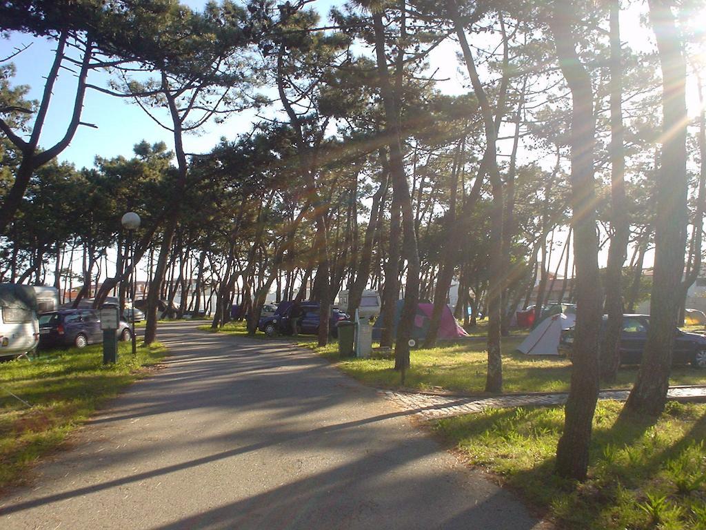 Parque De Campismo Da Praia Da Barra Gafanha da Nazaré Extérieur photo